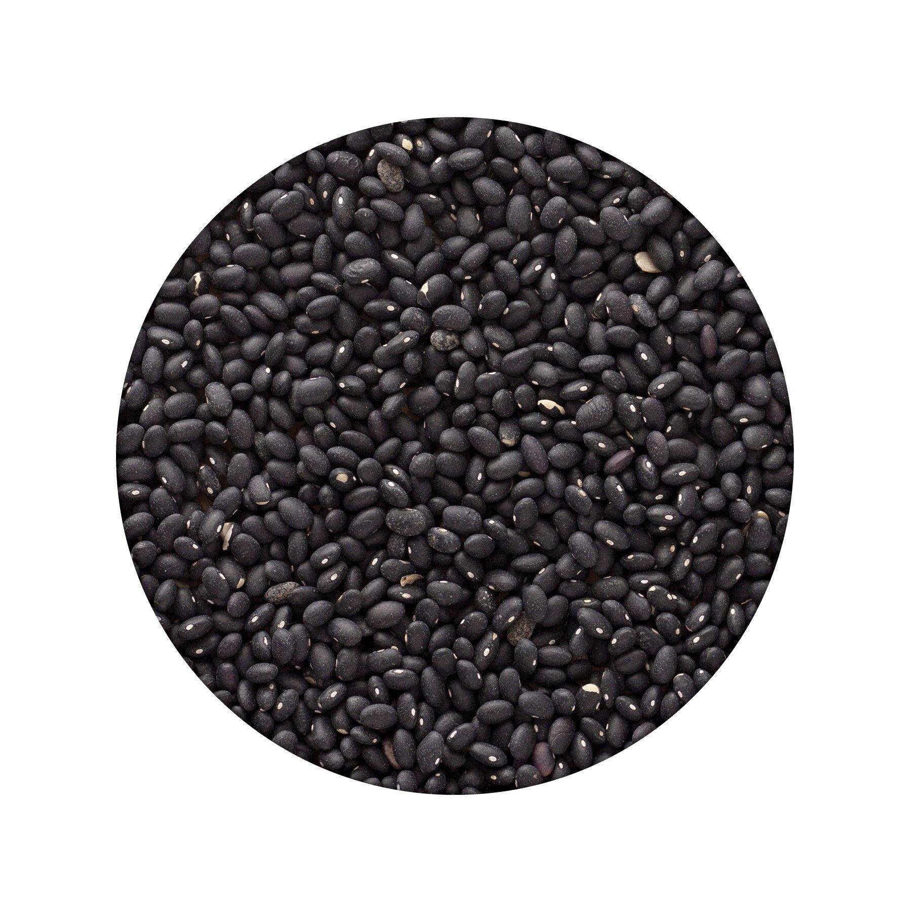 Emergency Essentials® Black Beans Large #10 Can - Image 3