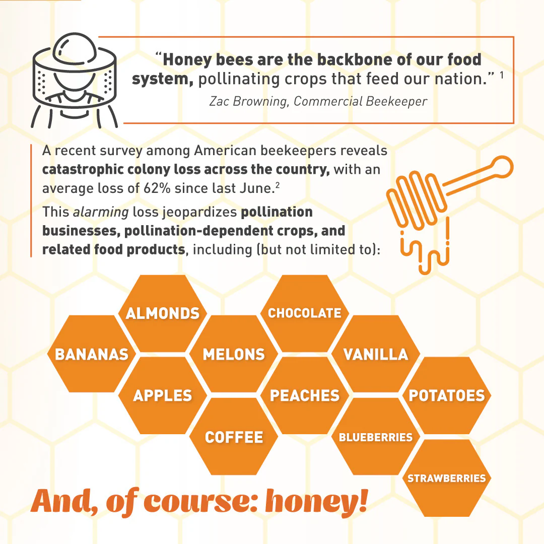 Emergency Essentials® Honey Powder Large Can - Image 10