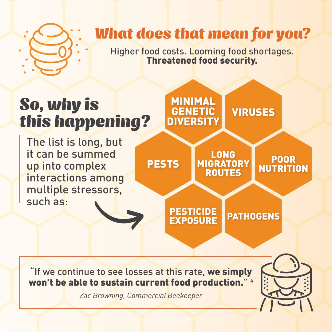 Emergency Essentials® Honey Powder Large Can - Image 9